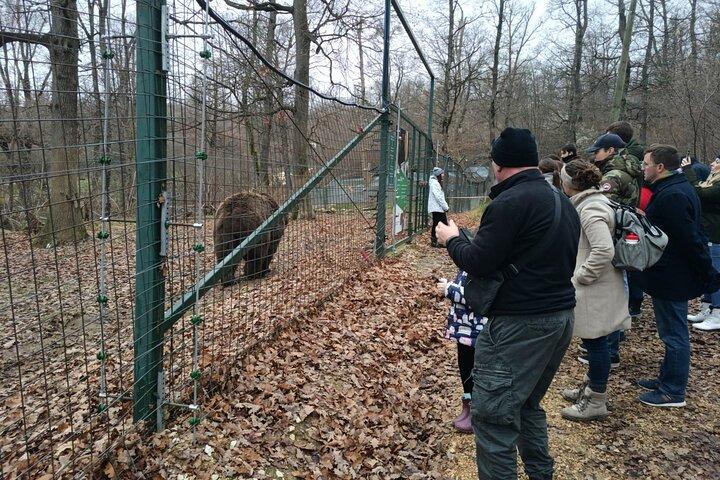 Bear Sanctuary and Bran Castle from Brasov