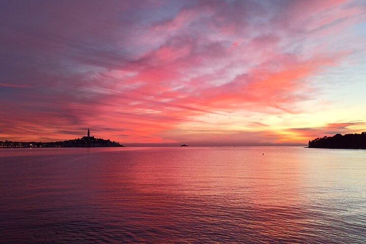 Rovinj Private Dolphin Watching Sunset Speedboat Tour with Drinks