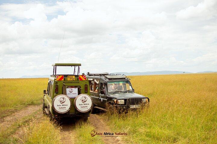 Masai Mara 3 Days Tour Safari Private 4WD Landcruiser