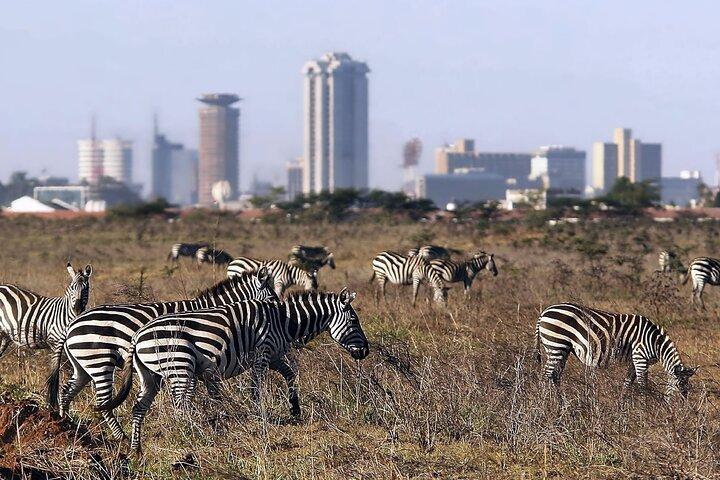 Group Joining-Half Day Nairobi National park