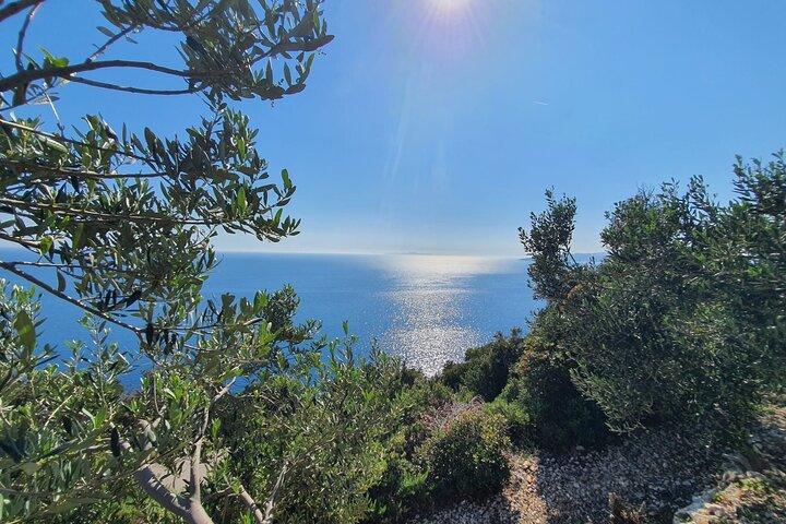 Private Peljesac Wine Tasting Tour from Dubrovnik