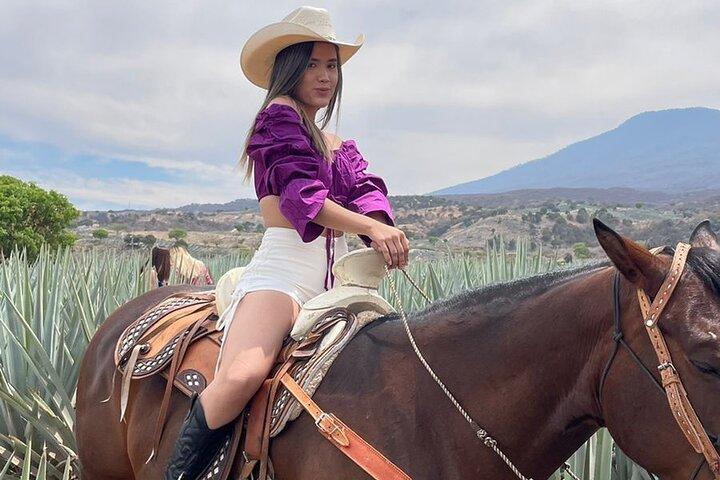 Private Full-Day Ruta del Tequila Tour: Safe & Expert-Guided