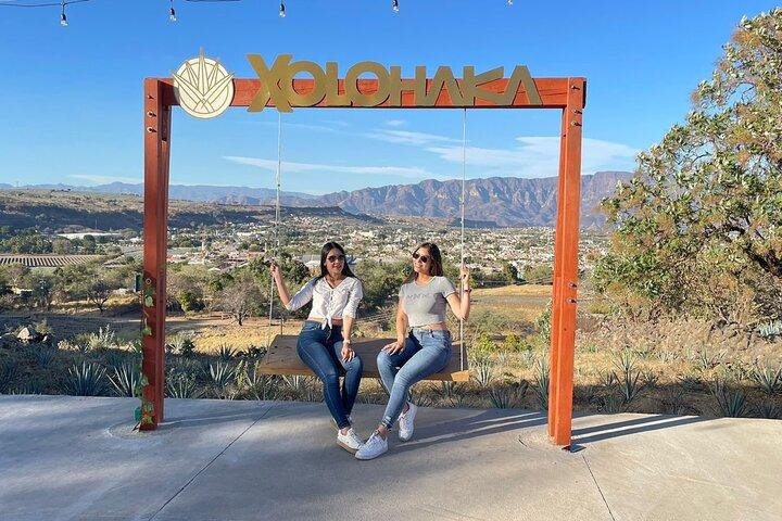 Private Full-Day Ruta del Tequila Tour: Safe & Expert-Guided