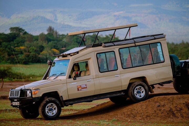 5 days Living Among Lions with Kojuu Safaris - Mid range Lodge