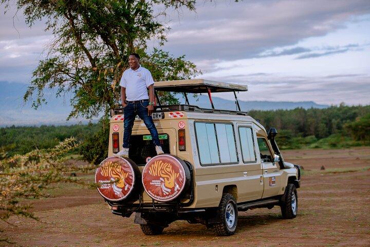 5 days Living Among Lions with Kojuu Safaris - Mid range Lodge