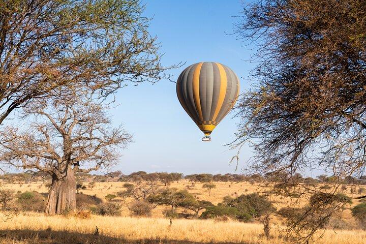 9 Days Great Migration Safaris with Kojuu Safaris Africa-Luxury.