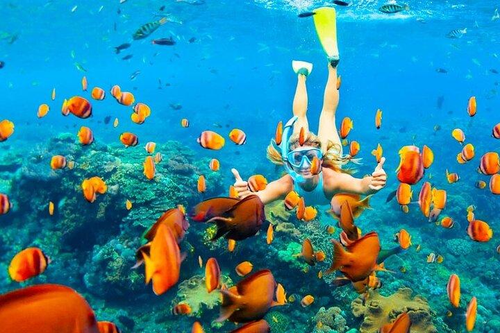 Hurghada Orange Bay island Trip with Lunch Snorkeling and Tranfer