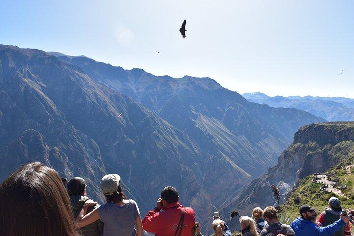 2-Day Tour to the Magical Colca Canyon