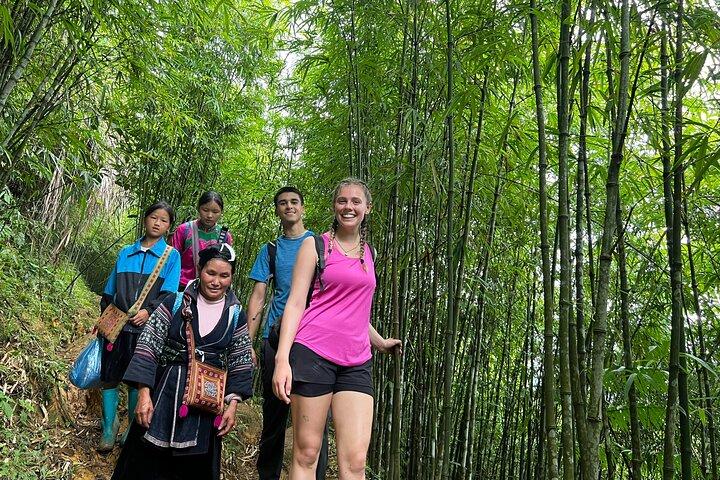 Daily Tour: Sapa Trekking in Muong Hoa valley, Bamboo forest