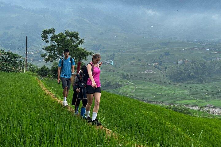 Daily Tour: Sapa Trekking in Muong Hoa valley, Bamboo forest