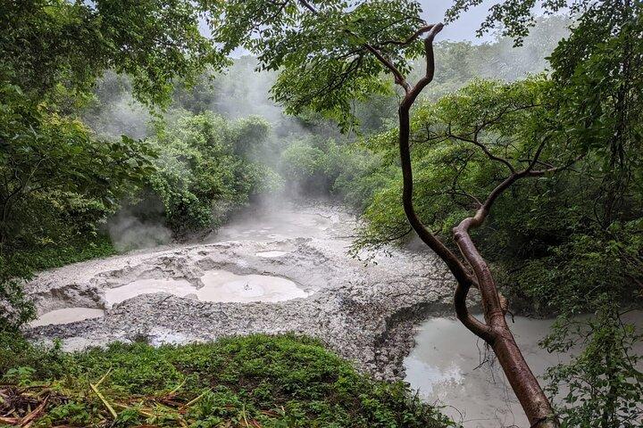 Rincón de la Vieja volcano hike & hot springs full day