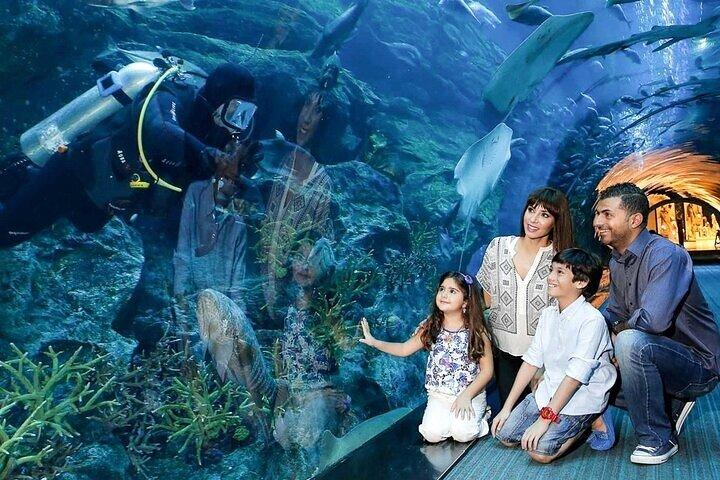 Dubai Mall Aquarium and Under Water Zoo and Ski Dubai Combo