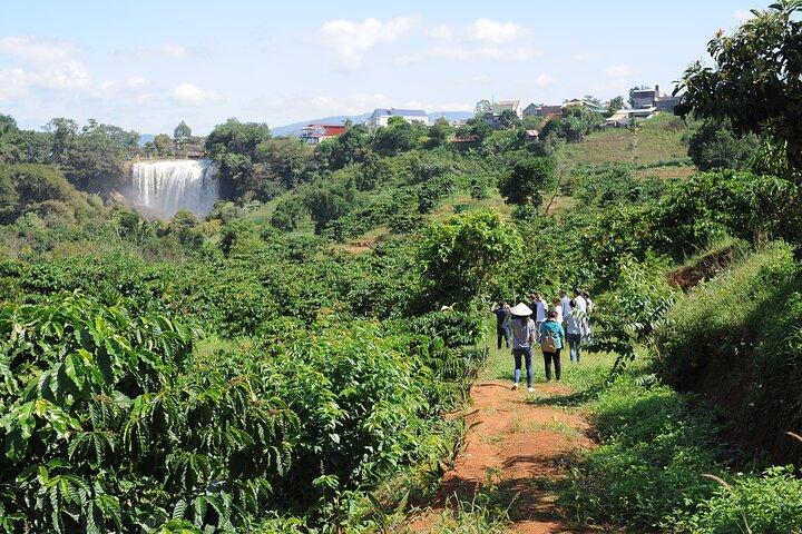 Dalat's countryside|Coffee Plantations Tour beyond Elephant falls