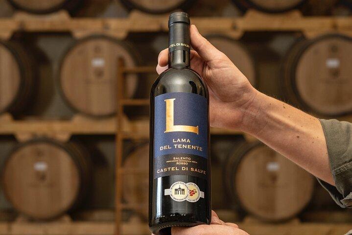 Historical Cellar Visit and Wine Tasting in Salento