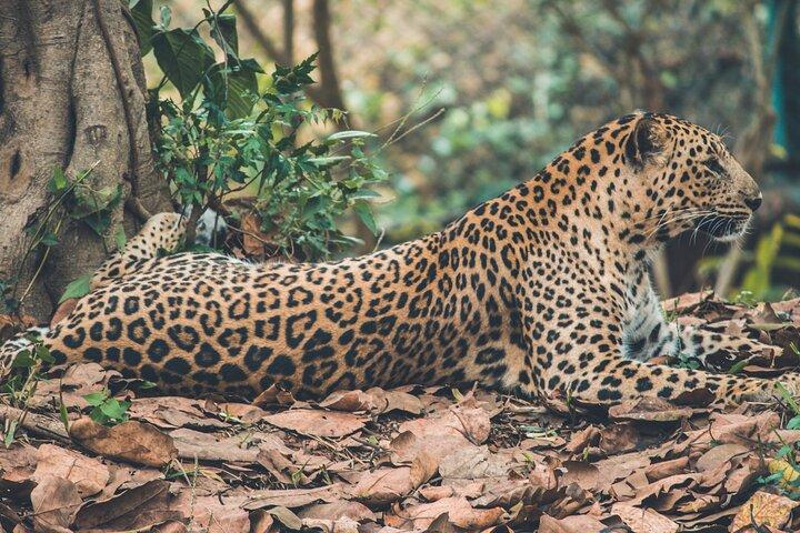 11 Days to Explore Sri Lanka