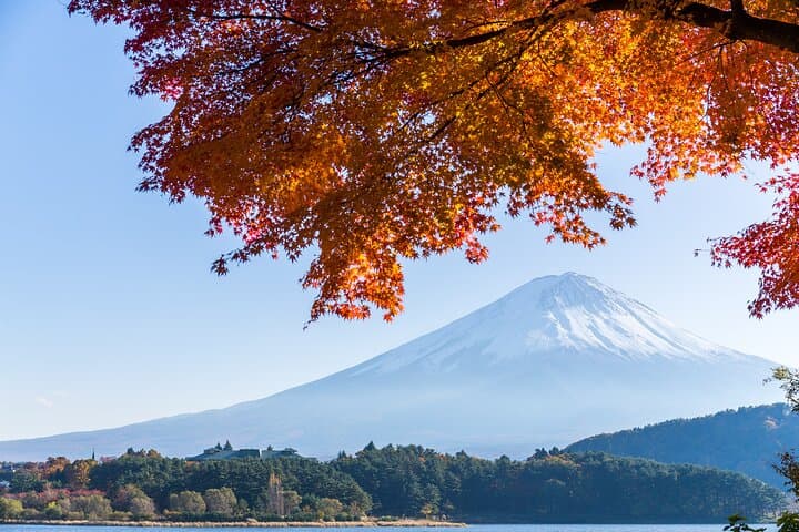 Mt. Fuji or Hakone Private Sightseeing Day Trip From Tokyo