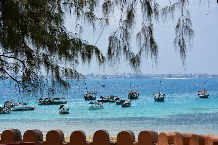 Zanzibar : Stone Town Tour,history without transport