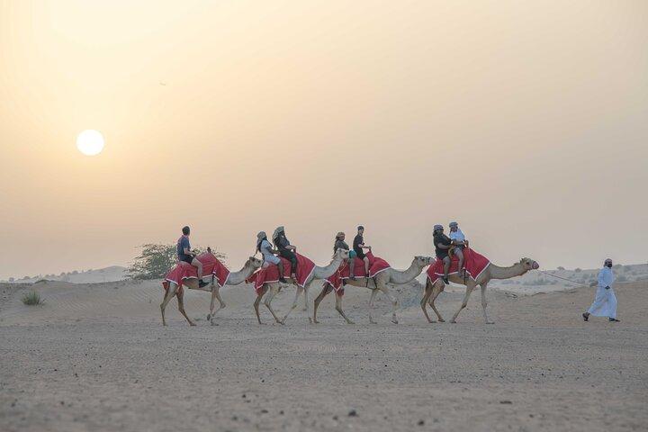 Premium Red Dunes Bashing with Quad Bike, Camel, Falcon &VIP Camp