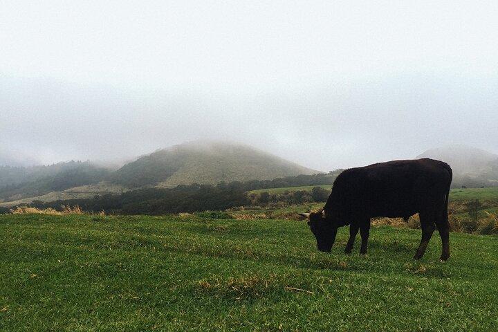One Day Hike around Taipei's Yangmingshan National Park