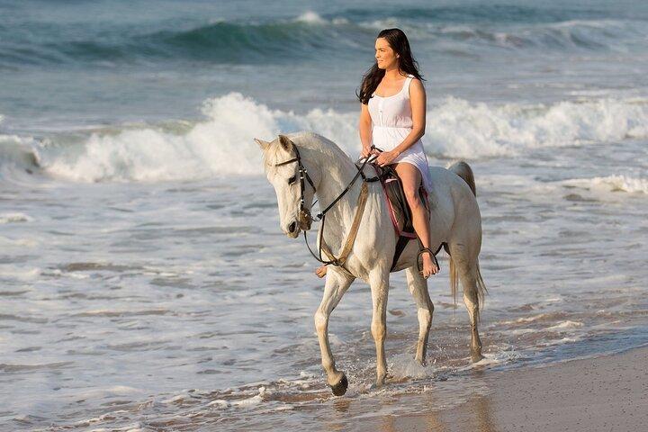 Cabo Shore Excursion: Beach Horseback Ride & Tequila Tasting