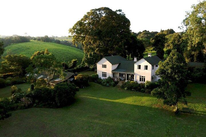 Kiambethu Tea Farm Tour and Lunch From Nairobi