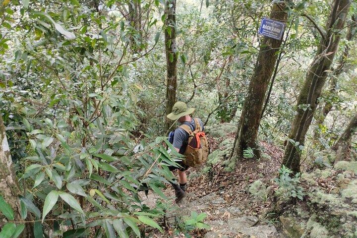 Full-Day Private Guided Hiking Tour of Ba Vi National Park