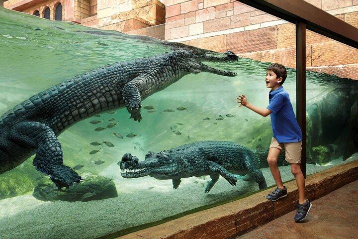 Singapore Bird Park & River Wonder (Tickets & Transfer )