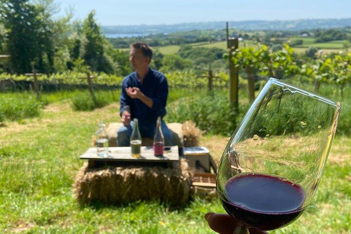 Wine & Cheese in the Somerset Valleys - with Michelin-star lunch!