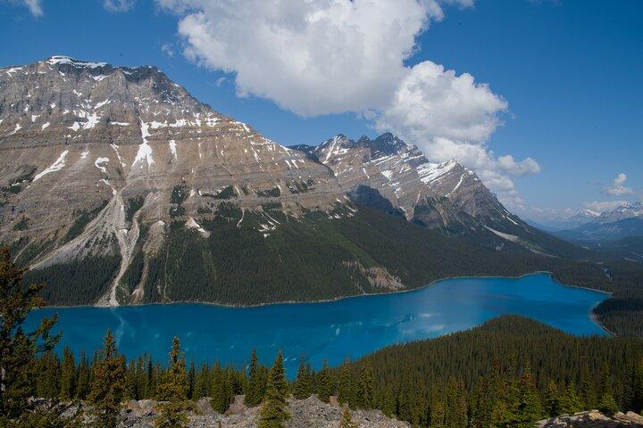Breathtaking Columbia Icefield Day Tour — Calgary, Canmore, Banff