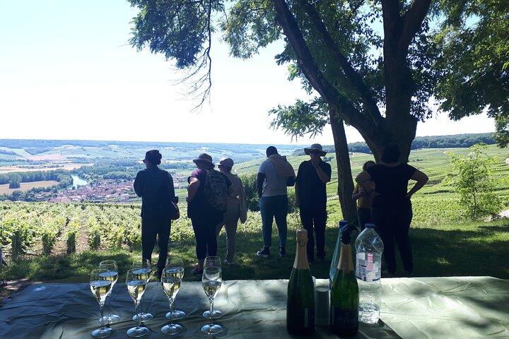 Champagne tasting, panoramic walk in the vineyards