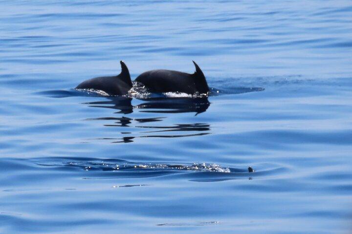 A Day's 3-Island Cruise Tour with Transfer