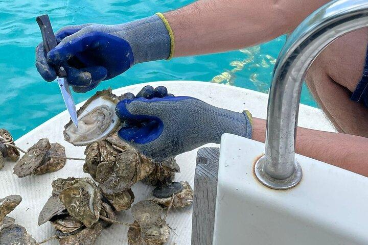 Ston Seafood & Wine ,Boat Tour with Oysters and Mussels (lunch)