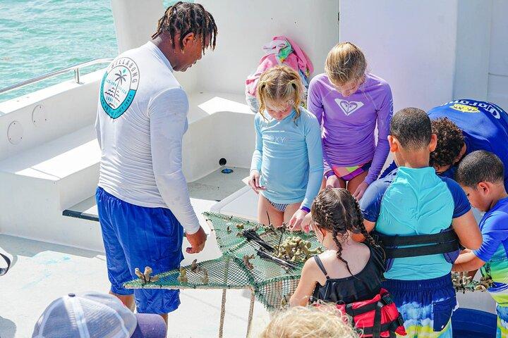 Snorkel Lovers for All Ages & Premium Seafood Lunch in Punta Cana