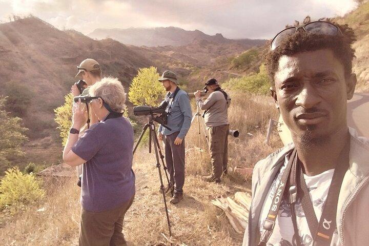 Bird Observation in Cape Verde