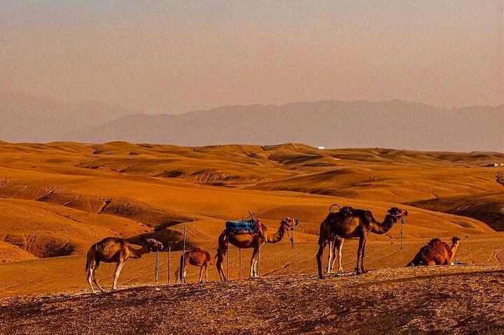 Marrakech Day Trip: Agafay Desert, Atlas Mountains and Camel Ride