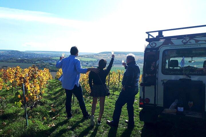 Champagne tasting, panoramic walk in the vineyards