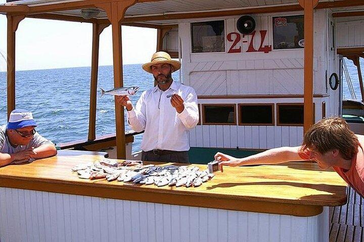 Half-Day Agadir Coastal Boat Trip with Lunch