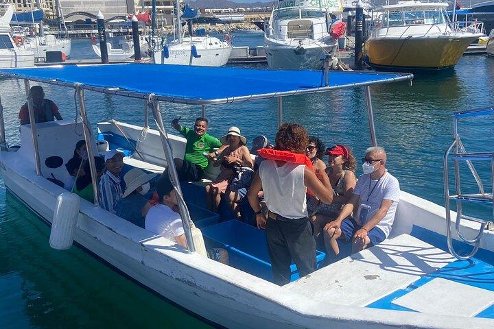 Whale Watching on a Glass Bottom Boat