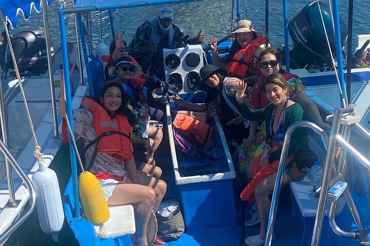 Whale Watching on a Glass Bottom Boat