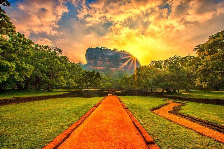 2 Days tour Dambulla Sigiriya Wilpattu Anuradhapura from Colombo