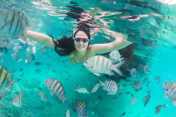Exploring Angra Dos Reis and Ilha Grande in One Day