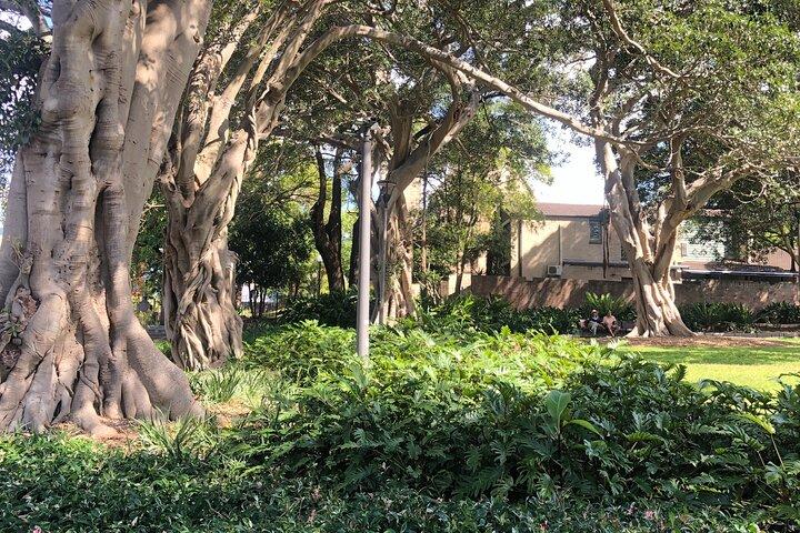 Historic Walking Tour of Glebe