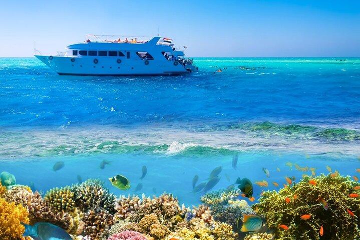 Ras Mohamed & White Island Diving & Snorkeling – Sharm El Sheikh