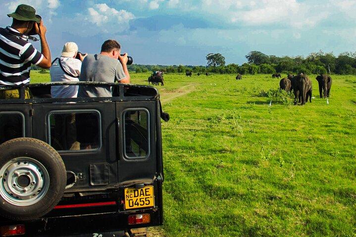 Day tour to Minneriya National Park,Sigiriya & Dambulla from Kandy