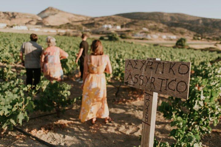 Kostantakis Winery - Milos Island Tour & Wine Tasting Experience