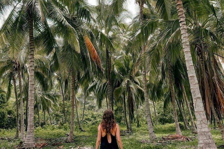 Tayrona Park Hike Tour to Cabo San Juan: Private or Shared