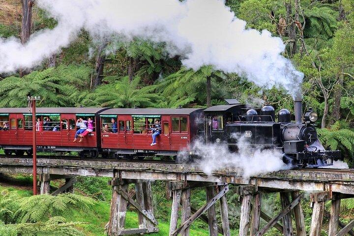 Puffing Billy And Phillip Island Penguin Parade Bus Tour