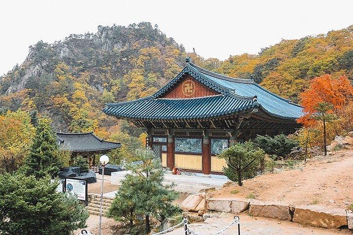 Private Van to Mt Seorak, Sokcho, Naksansa & more (Up to 14 pax)
