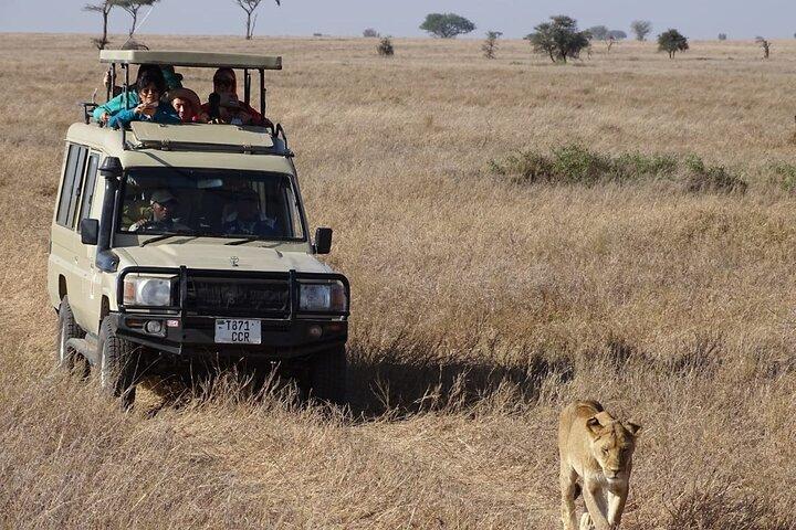 Private Game Drive in Maasai Mara