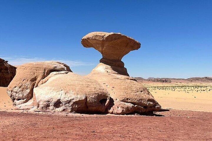 Full Day Tour Petra and Wadi Rum from Amman